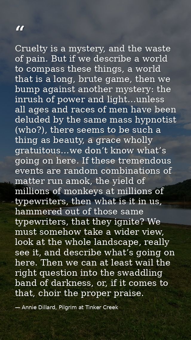 Cruelty is a mystery, and the waste of pain. But if we describe a world to compass these things, a world that is a long, — Annie Dillard, Pilgrim at Tinker Creek
