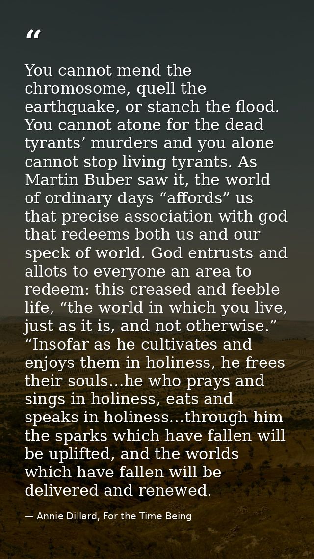 You cannot mend the chromosome, quell the earthquake, or stanch the flood. You cannot atone for the dead tyrants’ murder — Annie Dillard, For the Time Being