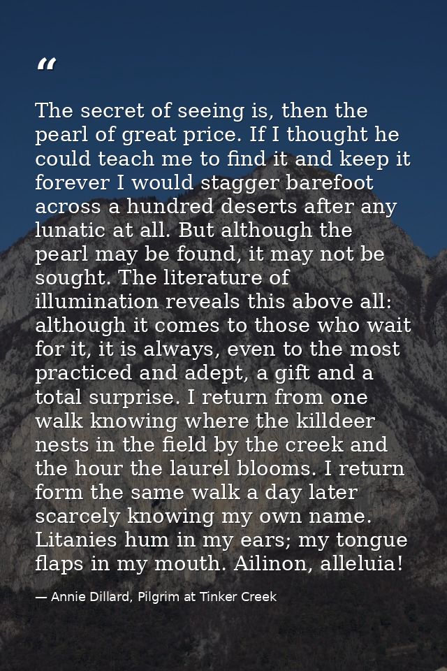 The secret of seeing is, then the pearl of great price. If I thought he could teach me to find it and keep it forever I  — Annie Dillard, Pilgrim at Tinker Creek