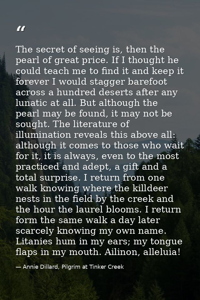 The secret of seeing is, then the pearl of great price. If I thought he could teach me to find it and keep it forever I  — Annie Dillard, Pilgrim at Tinker Creek