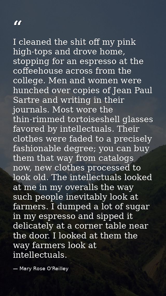 I cleaned the shit off my pink high-tops and drove home, stopping for an espresso at the coffeehouse across from the col — Mary Rose O'Reilley
