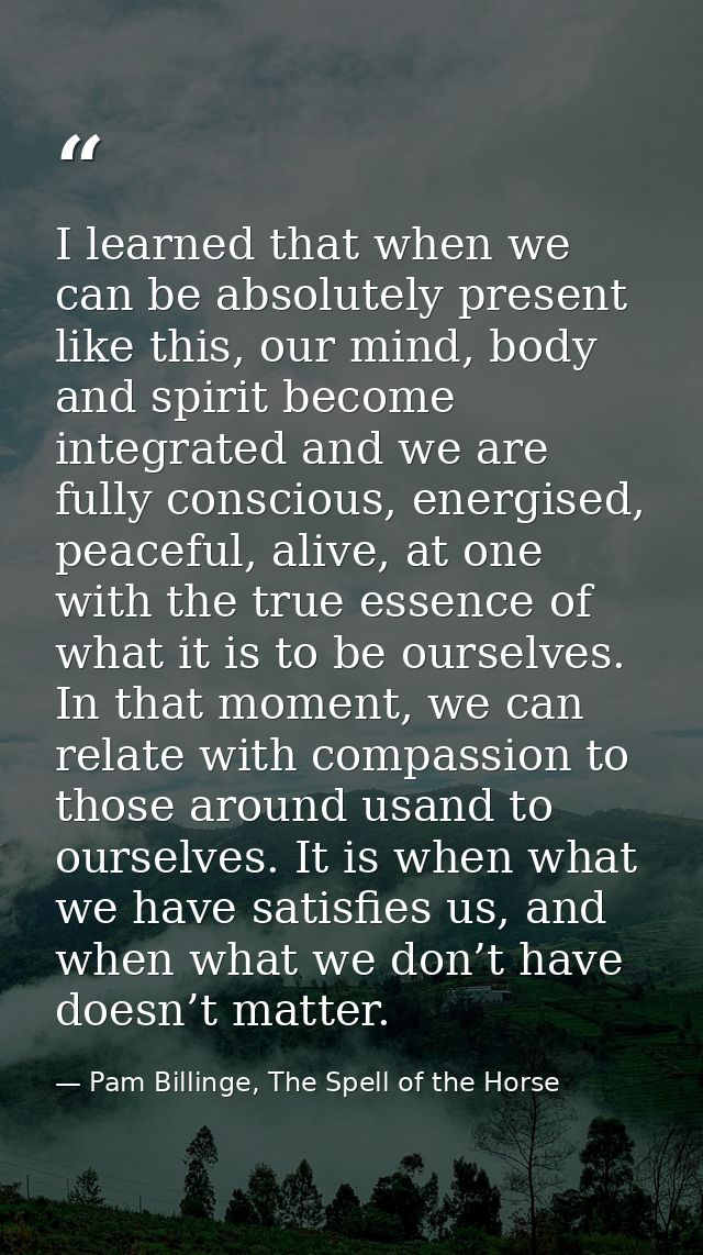 I learned that when we can be absolutely present like this, our mind, body and spirit become integrated and we are fully — Pam Billinge, The Spell of the Horse