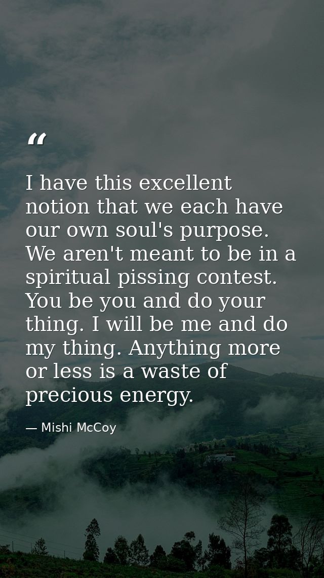 I have this excellent notion that we each have our own soul's purpose. We aren't meant to be in a spiritual pissing cont — Mishi McCoy