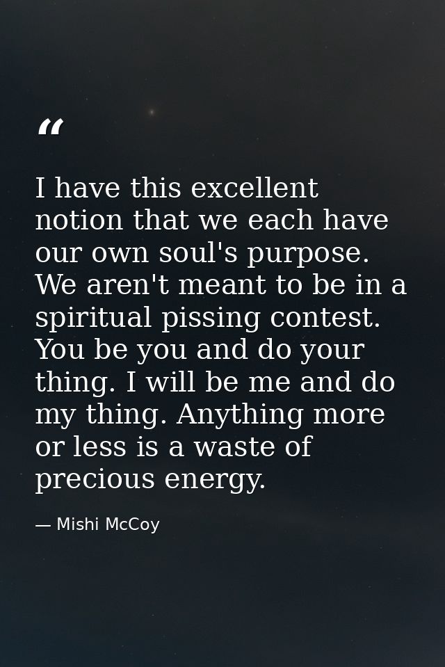 I have this excellent notion that we each have our own soul's purpose. We aren't meant to be in a spiritual pissing cont — Mishi McCoy