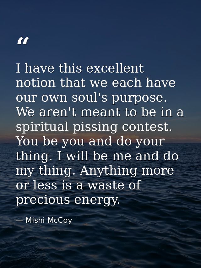 I have this excellent notion that we each have our own soul's purpose. We aren't meant to be in a spiritual pissing cont — Mishi McCoy