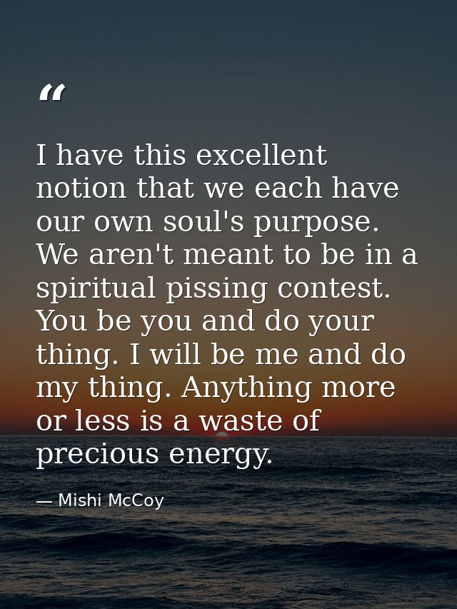 I have this excellent notion that we each have our own soul's purpose. We aren't meant to be in a spiritual pissing cont — Mishi McCoy