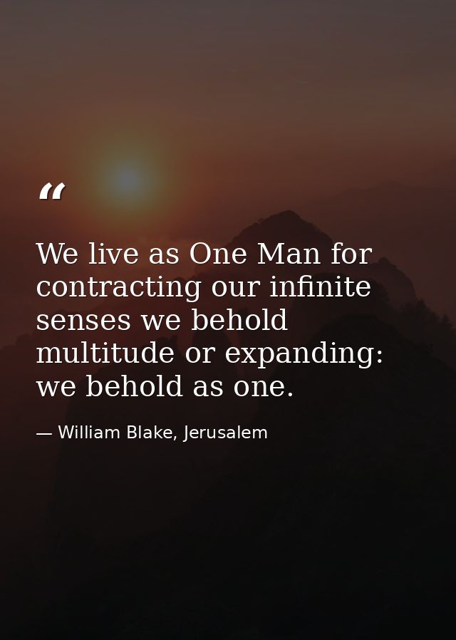 We live as One Man for contracting our infinite senses we behold multitude or expanding: we behold as one. — William Blake, Jerusalem