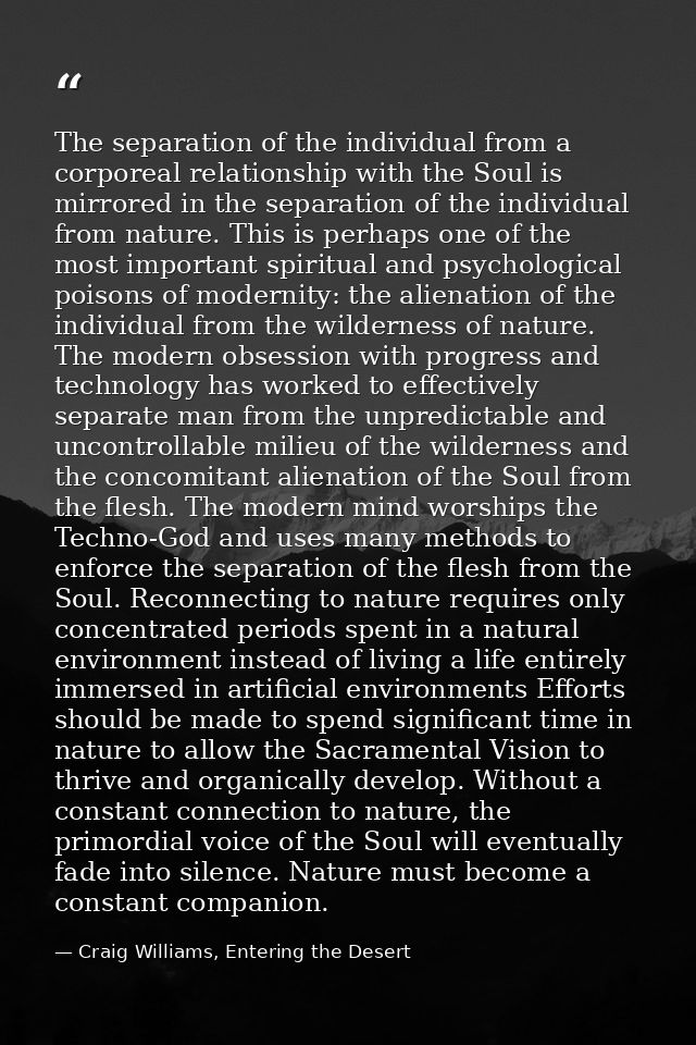 The separation of the individual from a corporeal relationship with the Soul is mirrored in the separation of the indivi — Craig Williams, Entering the Desert