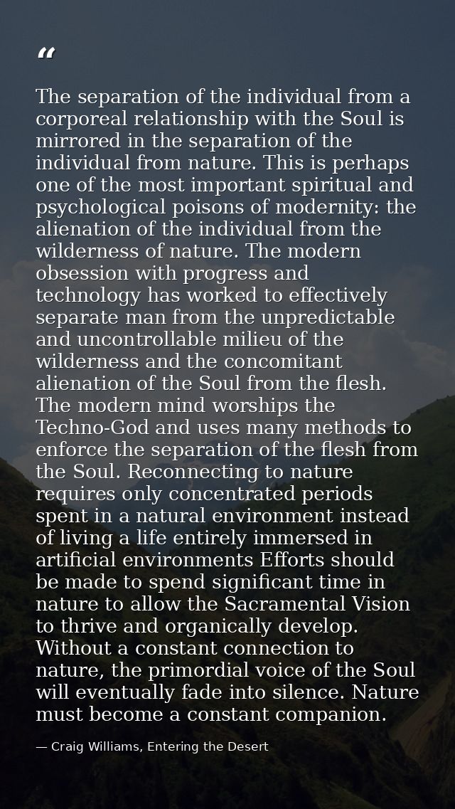 The separation of the individual from a corporeal relationship with the Soul is mirrored in the separation of the indivi — Craig Williams, Entering the Desert