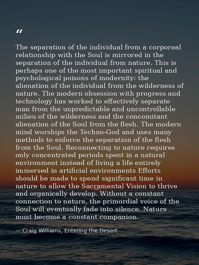 The separation of the individual from a corporeal relationship with the Soul is mirrored in the separation of the indivi — Craig Williams, Entering the Desert