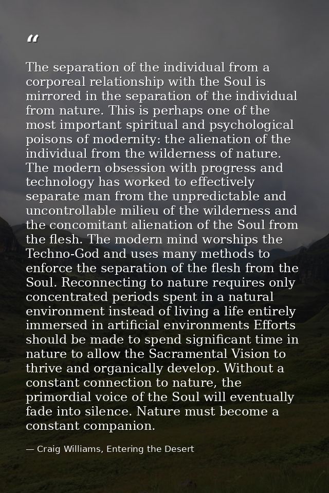 The separation of the individual from a corporeal relationship with the Soul is mirrored in the separation of the indivi — Craig Williams, Entering the Desert