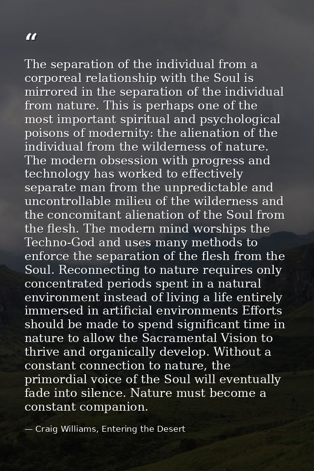The separation of the individual from a corporeal relationship with the Soul is mirrored in the separation of the indivi — Craig Williams, Entering the Desert