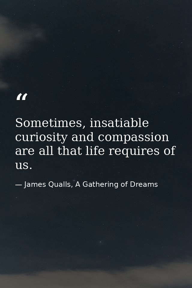 Sometimes, insatiable curiosity and compassion are all that life requires of us. — James Qualls, A Gathering of Dreams