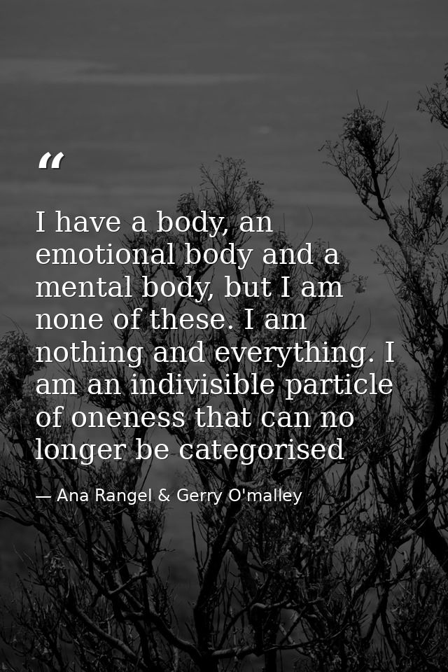 I have a body, an emotional body and a mental body, but I am none of these. I am nothing and everything. I am an indivis — Ana Rangel & Gerry O'malley