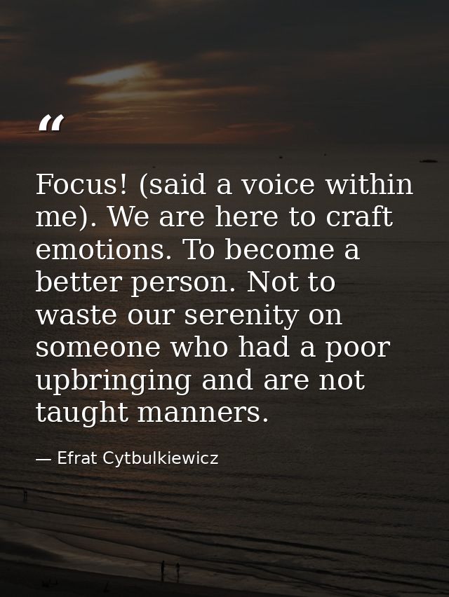 Focus! (said a voice within me). We are here to craft emotions. To become a better person.﻿ Not to waste our serenity on — Efrat Cytbulkiewicz