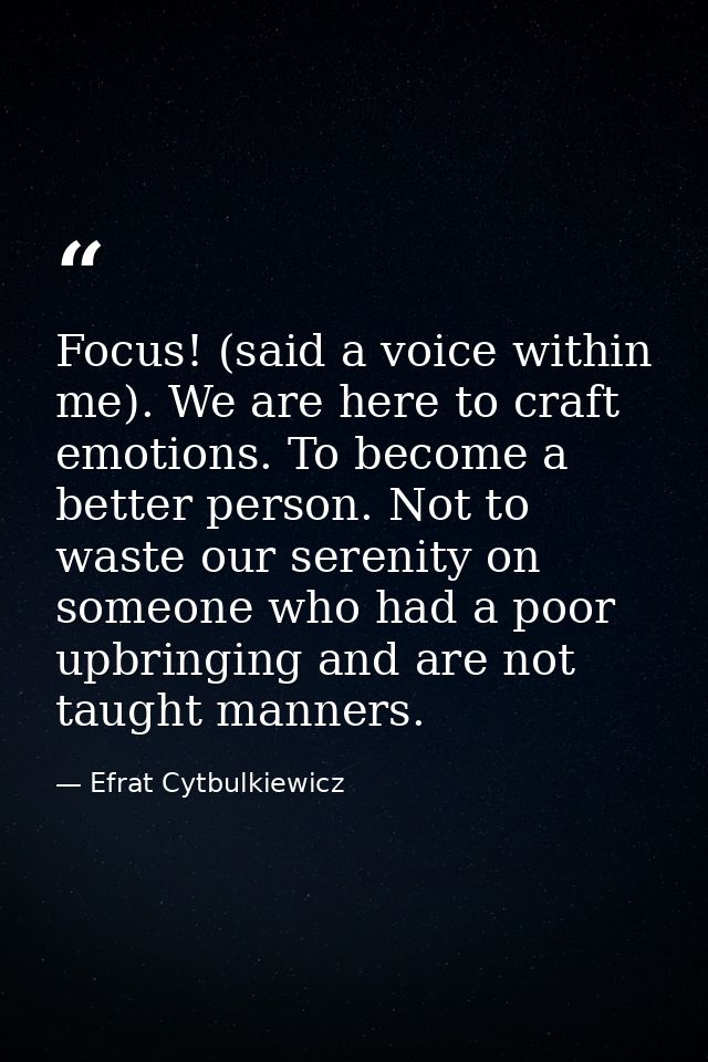Focus! (said a voice within me). We are here to craft emotions. To become a better person.﻿ Not to waste our serenity on — Efrat Cytbulkiewicz