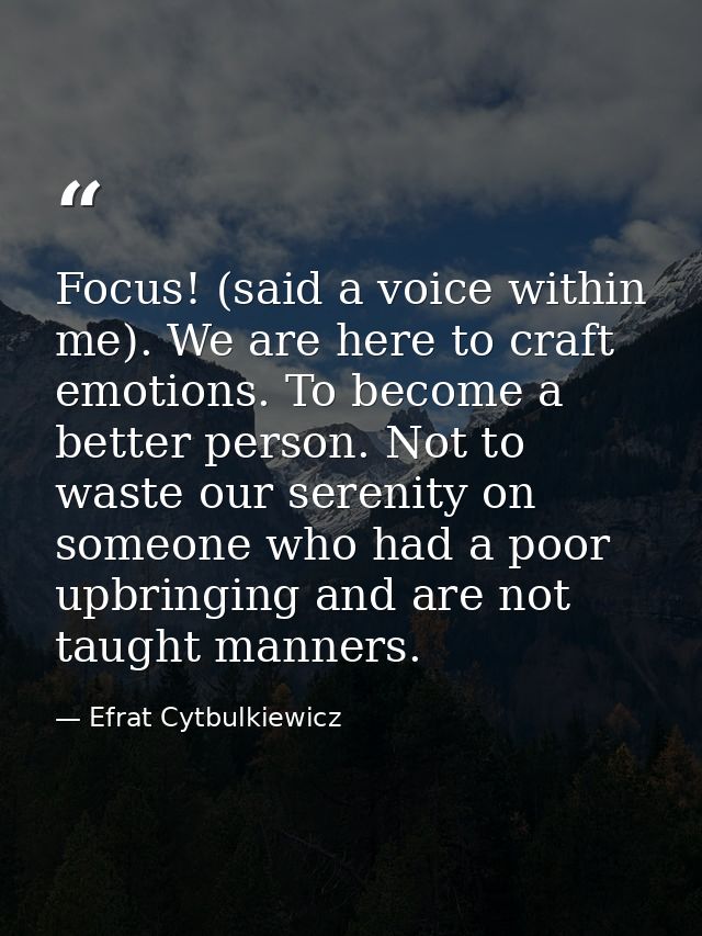 Focus! (said a voice within me). We are here to craft emotions. To become a better person.﻿ Not to waste our serenity on — Efrat Cytbulkiewicz