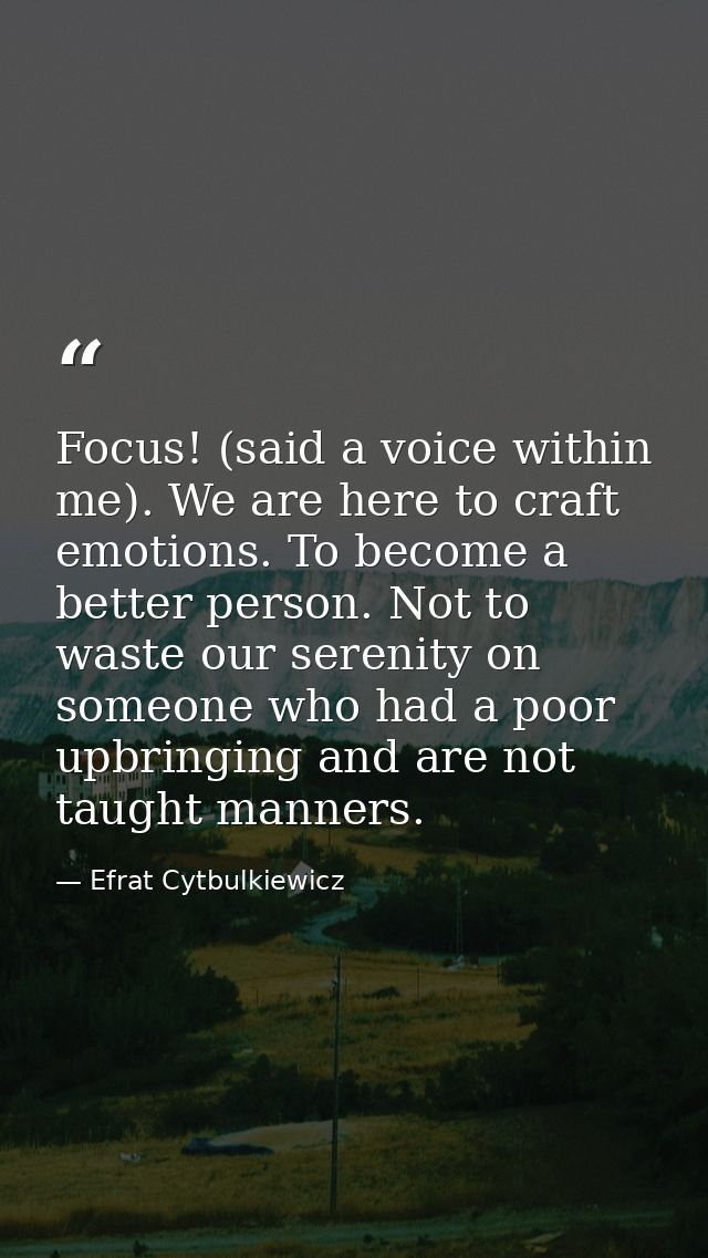 Focus! (said a voice within me). We are here to craft emotions. To become a better person.﻿ Not to waste our serenity on — Efrat Cytbulkiewicz