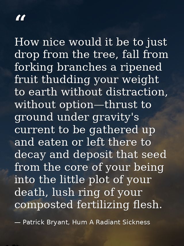How nice would it be to just drop from the tree, fall from forking branches a ripened fruit thudding your weight to eart — Patrick Bryant, Hum A Radiant Sickness