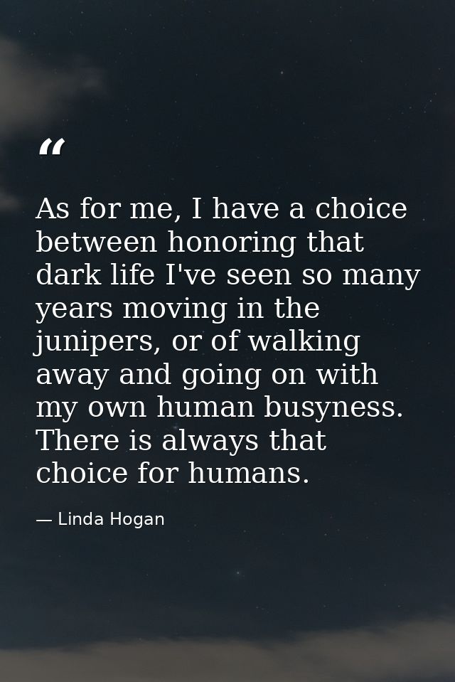 As for me, I have a choice between honoring that dark life I've seen so many years moving in the junipers, or of walking — Linda Hogan