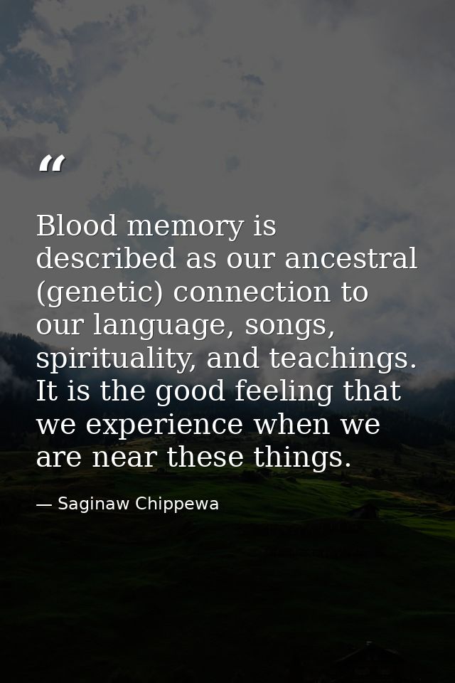 Blood memory is described as our ancestral (genetic) connection to our language, songs, spirituality, and teachings. It  — Saginaw Chippewa