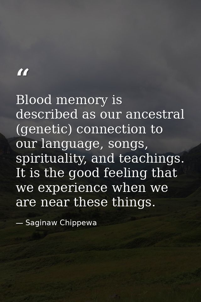 Blood memory is described as our ancestral (genetic) connection to our language, songs, spirituality, and teachings. It  — Saginaw Chippewa
