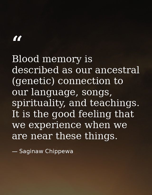 Blood memory is described as our ancestral (genetic) connection to our language, songs, spirituality, and teachings. It  — Saginaw Chippewa