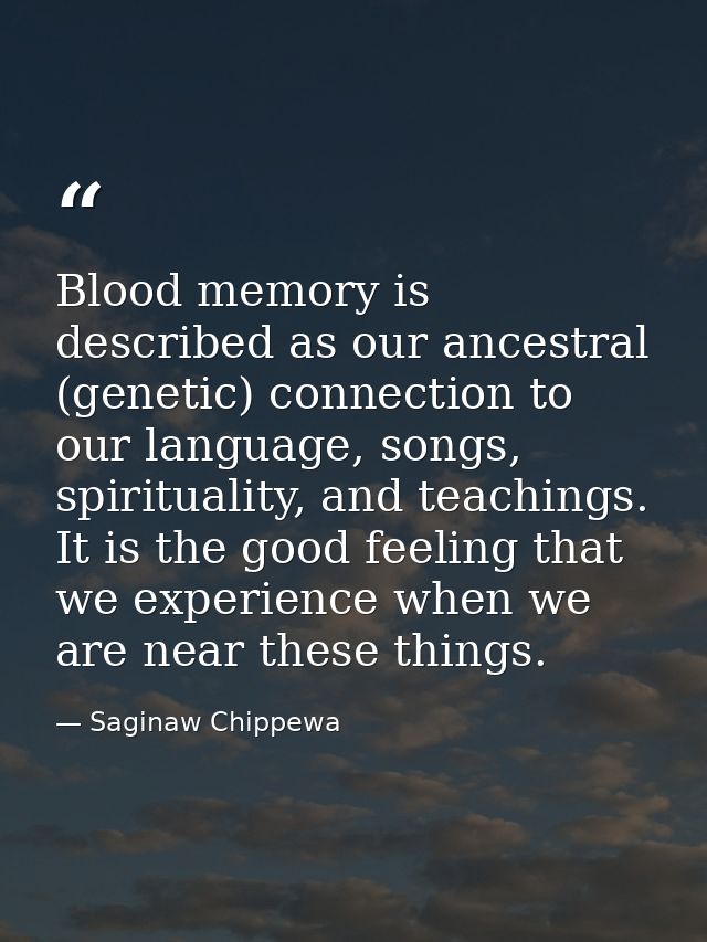 Blood memory is described as our ancestral (genetic) connection to our language, songs, spirituality, and teachings. It  — Saginaw Chippewa