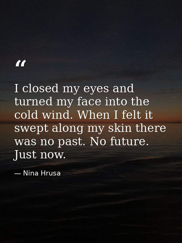I closed my eyes and turned my face into the cold wind. When I felt it swept along my skin there was no past. No future. — Nina Hrusa