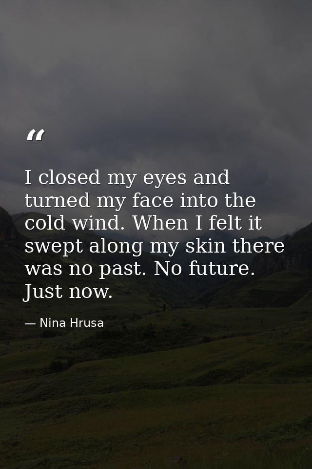 I closed my eyes and turned my face into the cold wind. When I felt it swept along my skin there was no past. No future. — Nina Hrusa