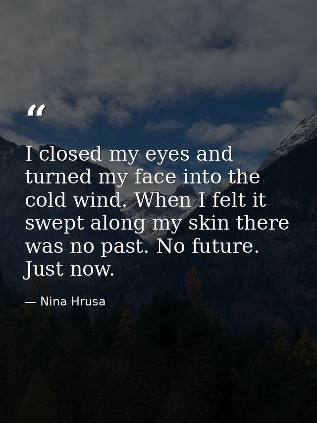 I closed my eyes and turned my face into the cold wind. When I felt it swept along my skin there was no past. No future. — Nina Hrusa