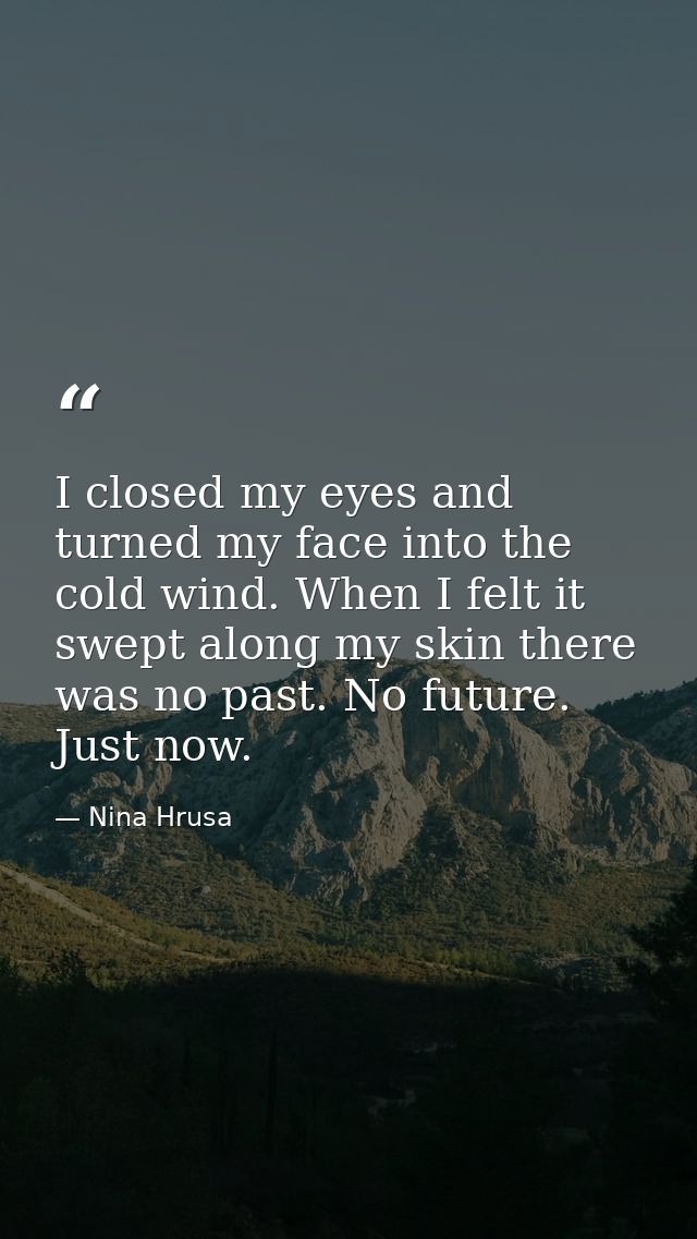 I closed my eyes and turned my face into the cold wind. When I felt it swept along my skin there was no past. No future. — Nina Hrusa