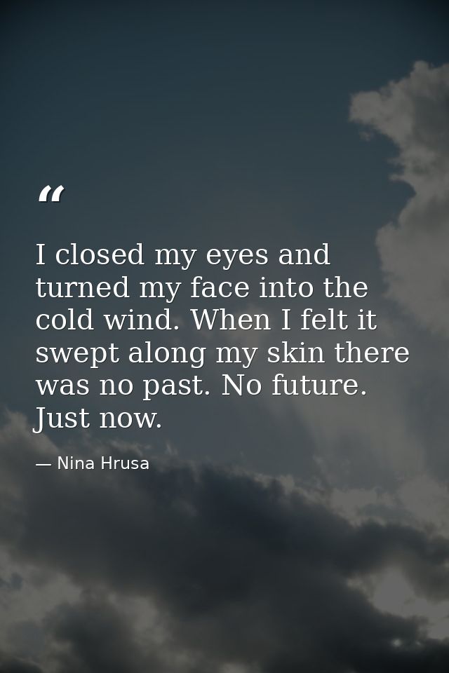 I closed my eyes and turned my face into the cold wind. When I felt it swept along my skin there was no past. No future. — Nina Hrusa