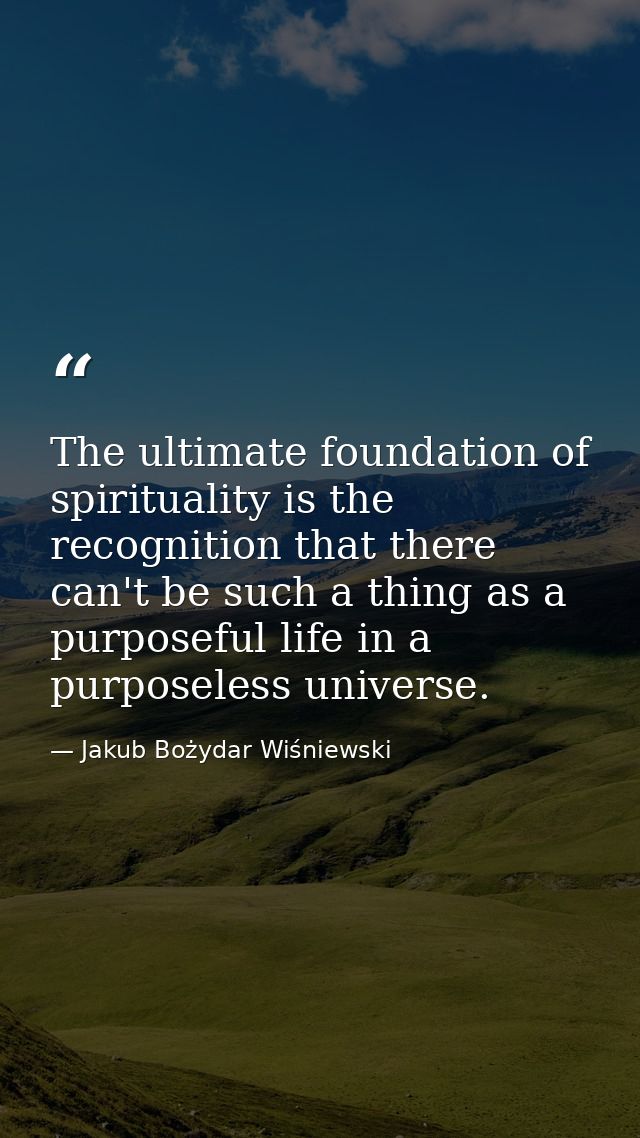 The ultimate foundation of spirituality is the recognition that there can't be such a thing as a purposeful life in a pu — Jakub Bożydar Wiśniewski
