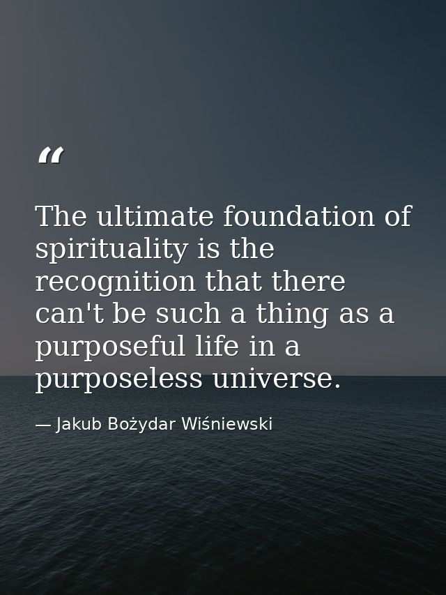 The ultimate foundation of spirituality is the recognition that there can't be such a thing as a purposeful life in a pu — Jakub Bożydar Wiśniewski