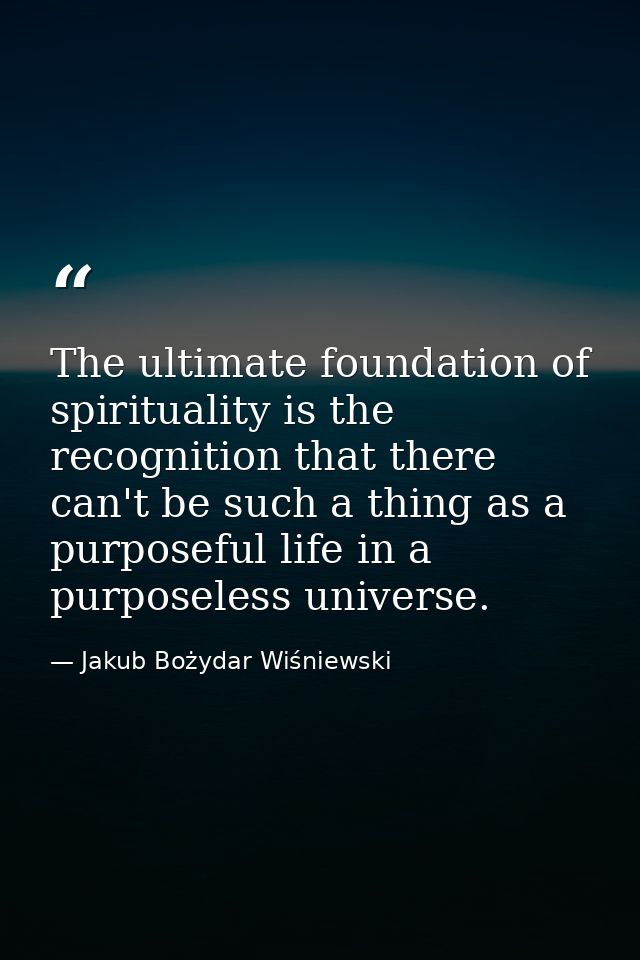 The ultimate foundation of spirituality is the recognition that there can't be such a thing as a purposeful life in a pu — Jakub Bożydar Wiśniewski