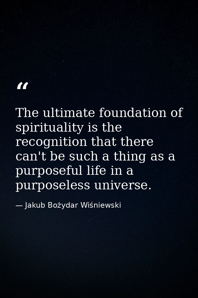 The ultimate foundation of spirituality is the recognition that there can't be such a thing as a purposeful life in a pu — Jakub Bożydar Wiśniewski