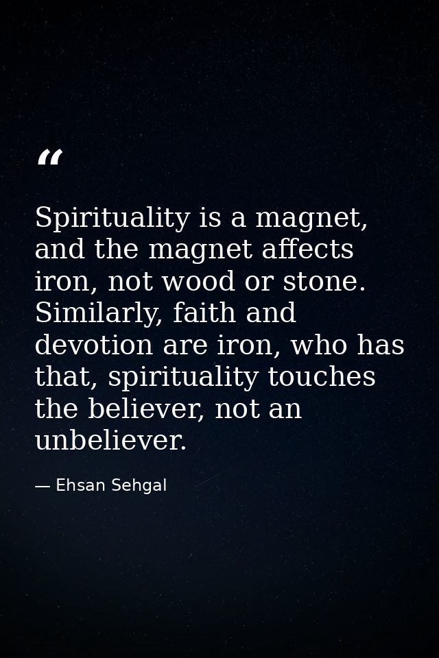 Spirituality is a magnet, and the magnet affects iron, not wood or stone. Similarly, faith and devotion are iron, who ha — Ehsan Sehgal