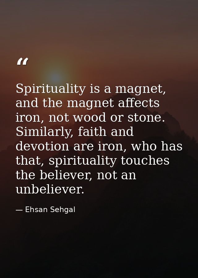 Spirituality is a magnet, and the magnet affects iron, not wood or stone. Similarly, faith and devotion are iron, who ha — Ehsan Sehgal