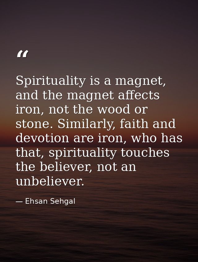 Spirituality is a magnet, and the magnet affects iron, not the wood or stone. Similarly, faith and devotion are iron, wh — Ehsan Sehgal