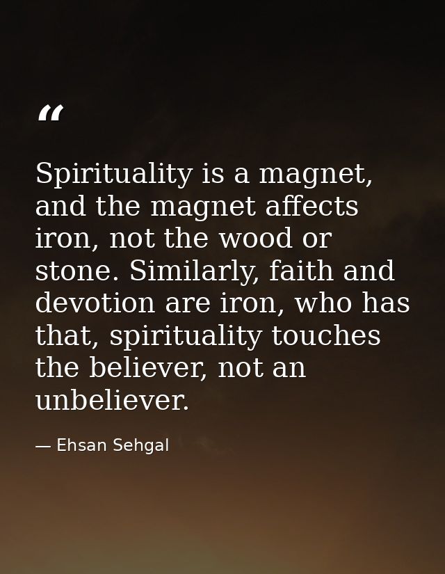 Spirituality is a magnet, and the magnet affects iron, not the wood or stone. Similarly, faith and devotion are iron, wh — Ehsan Sehgal