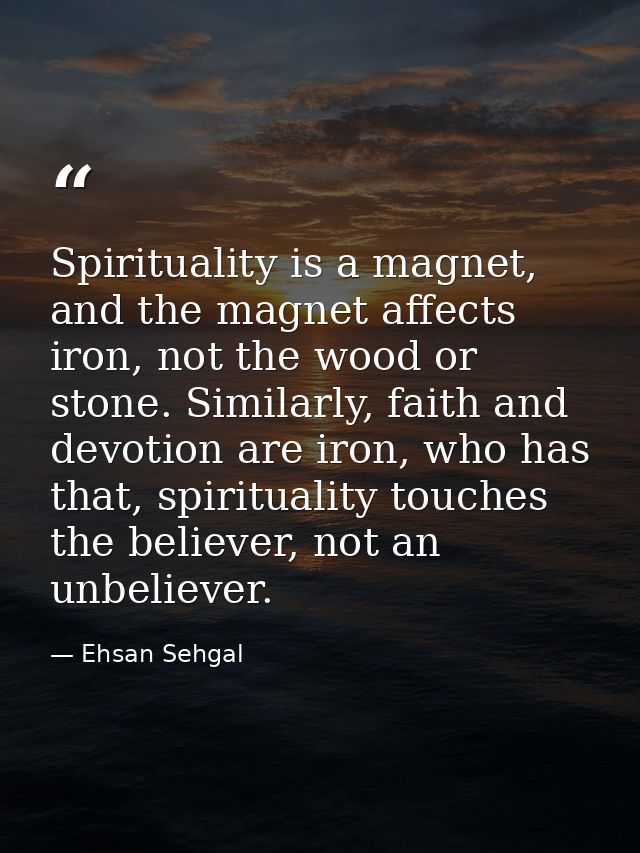 Spirituality is a magnet, and the magnet affects iron, not the wood or stone. Similarly, faith and devotion are iron, wh — Ehsan Sehgal