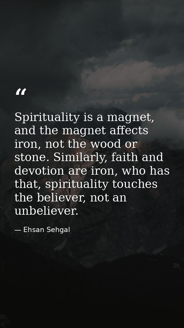 Spirituality is a magnet, and the magnet affects iron, not the wood or stone. Similarly, faith and devotion are iron, wh — Ehsan Sehgal