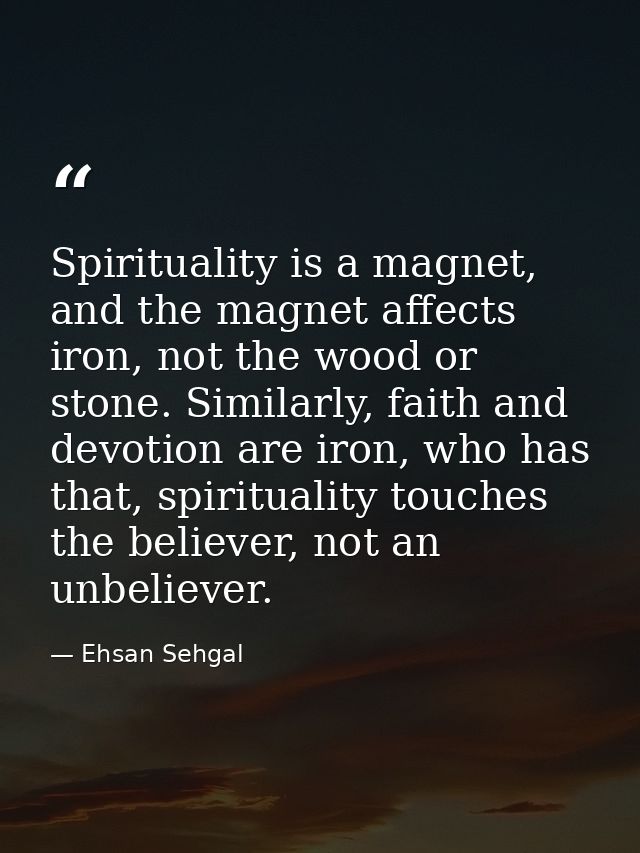 Spirituality is a magnet, and the magnet affects iron, not the wood or stone. Similarly, faith and devotion are iron, wh — Ehsan Sehgal