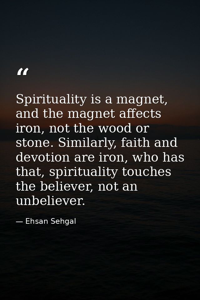 Spirituality is a magnet, and the magnet affects iron, not the wood or stone. Similarly, faith and devotion are iron, wh — Ehsan Sehgal