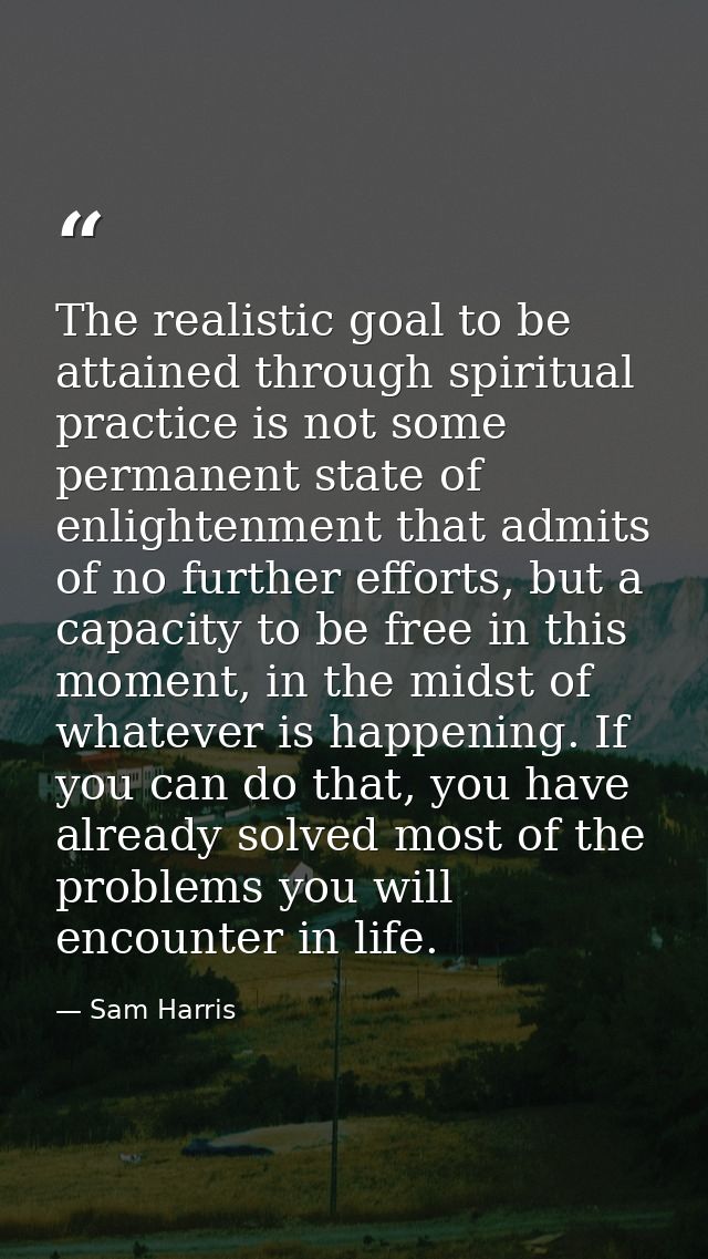 The realistic goal to be attained through spiritual practice is not some permanent state of enlightenment that admits of — Sam Harris