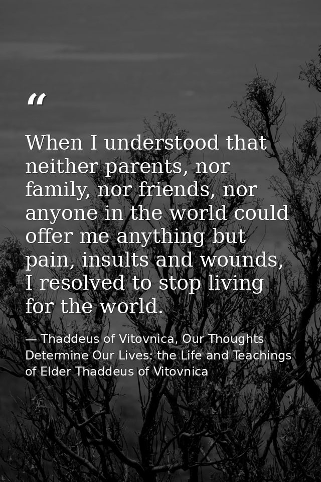 When I understood that neither parents, nor family, nor friends, nor anyone in the world could offer me anything but pai — Thaddeus of Vitovnica, Our Thoughts Determine Our Lives: the Life and Teachings of Elder Thaddeus of Vitovnica