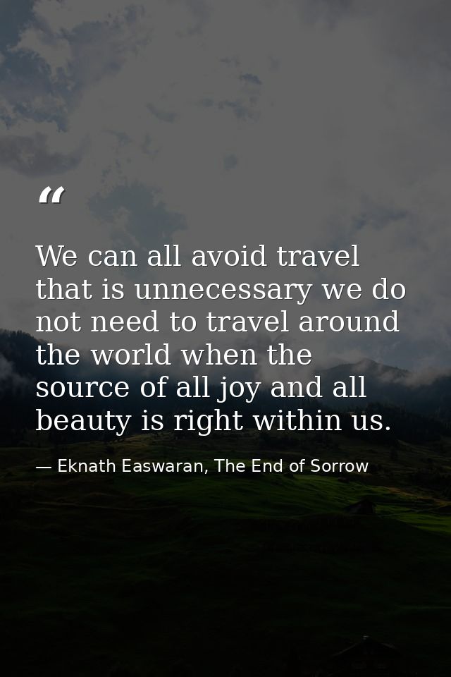 We can all avoid travel that is unnecessary we do not need to travel around the world when the source of all joy and all — Eknath Easwaran, The End of Sorrow