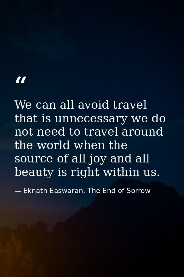 We can all avoid travel that is unnecessary we do not need to travel around the world when the source of all joy and all — Eknath Easwaran, The End of Sorrow