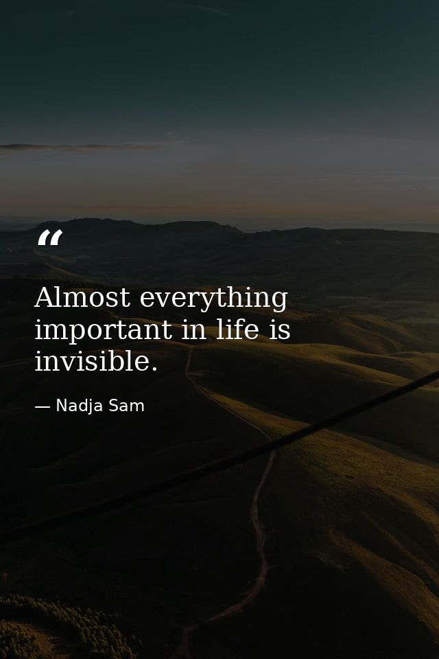 Almost everything important in life is invisible. — Nadja Sam